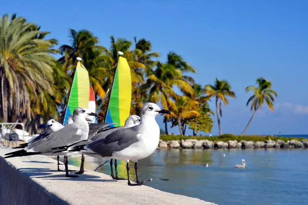 Smathers Beach In Key West